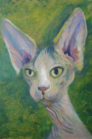 A15 Retrato de Gato Egipcio 2013