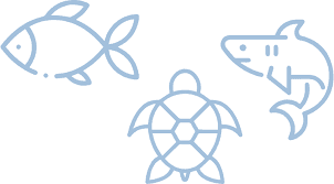 Art María Hernández