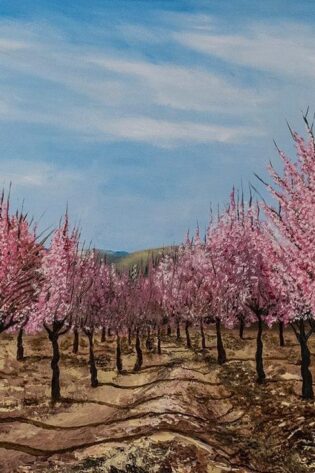 José Luís Canelha Amendoeiras em flor óleo s tela x