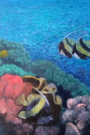 Red Sea Banner Fish oil on canvas x