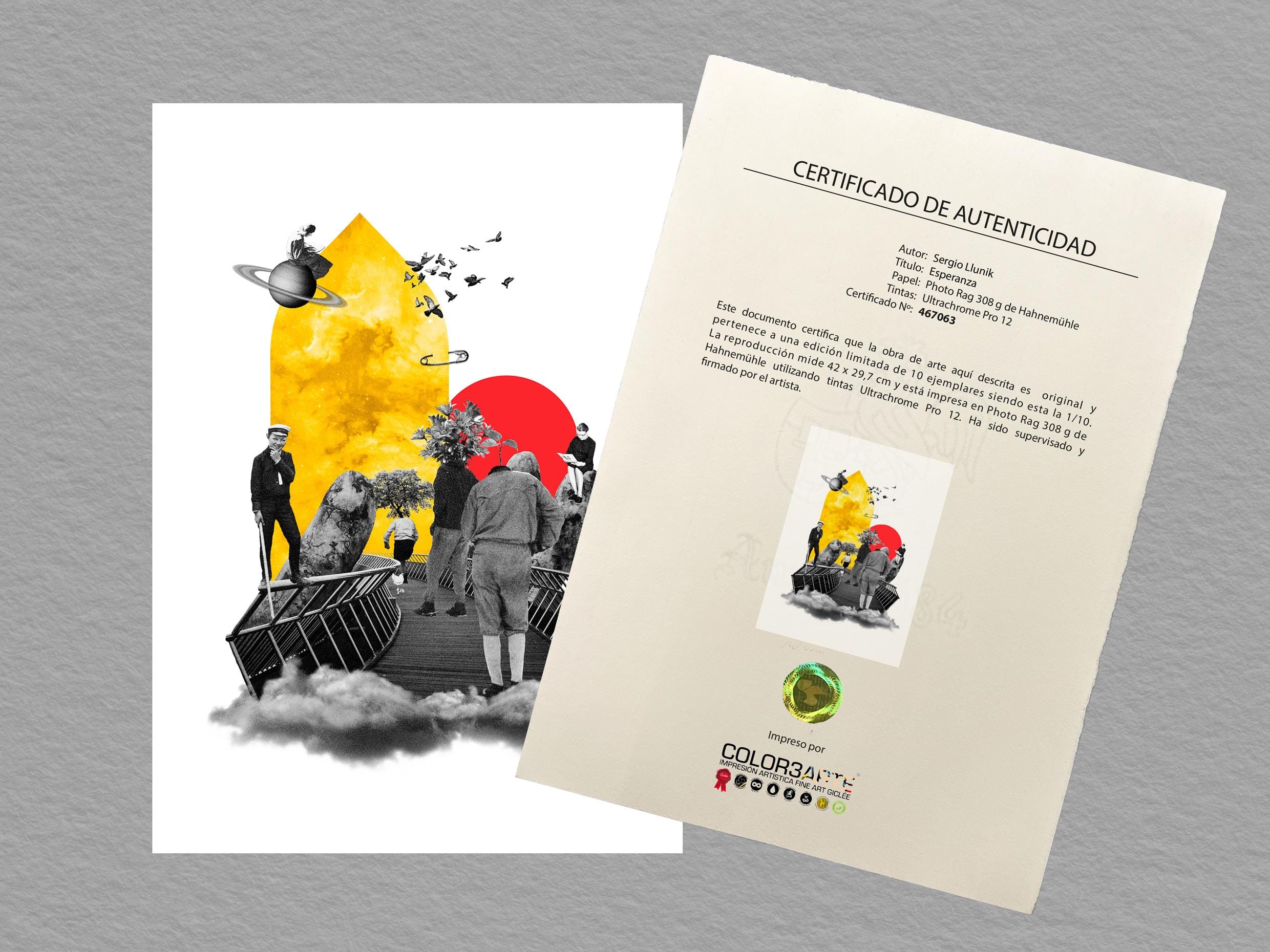 Certificación de obra de arte: comparativa y precios