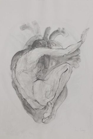 Female anatomy drawing