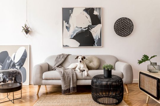 decoración con arte contemporáneo