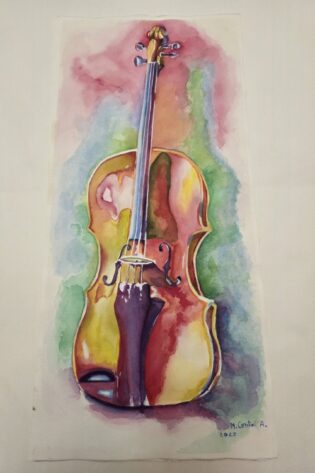 Violin