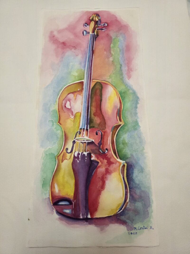 Violin