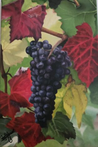 Racimo de uva en su parra