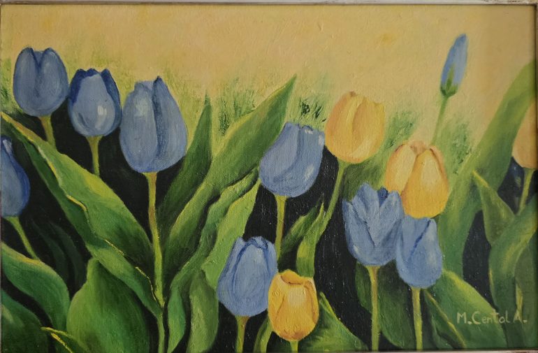 Tulipanes Arminia
