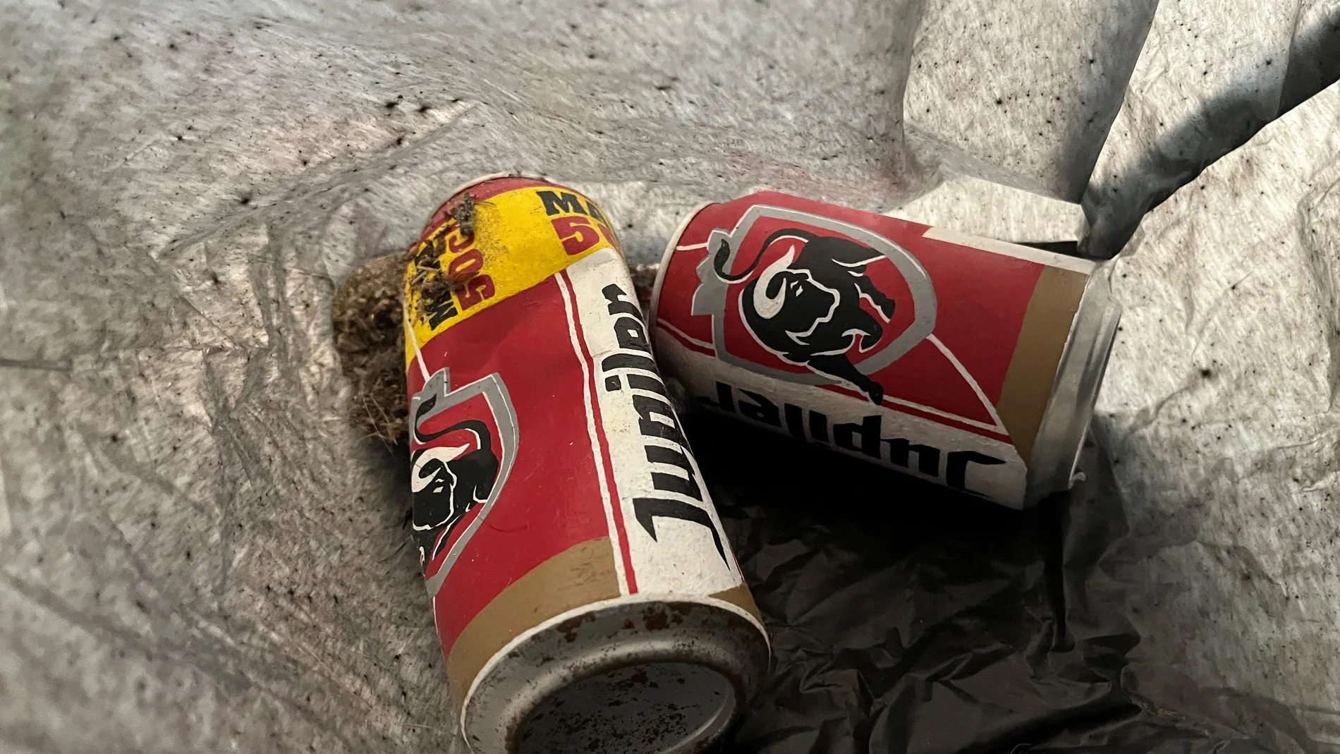 5 Claves para invertir en arte contemporáneo