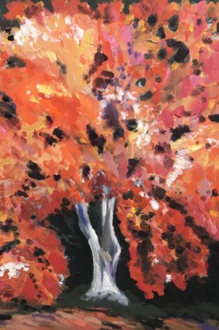 Arbol naranja